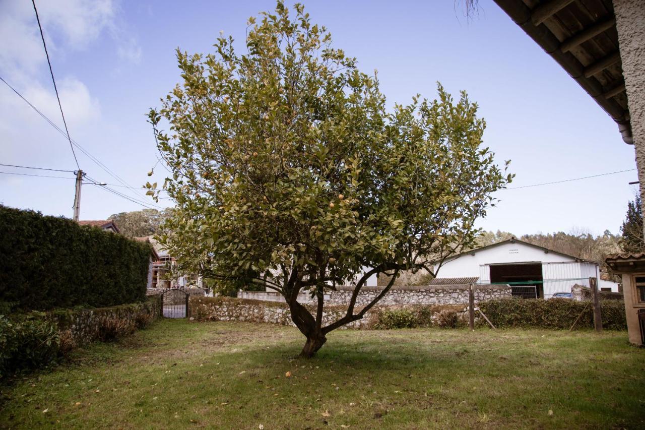 El Vallau Villa Balmori Buitenkant foto